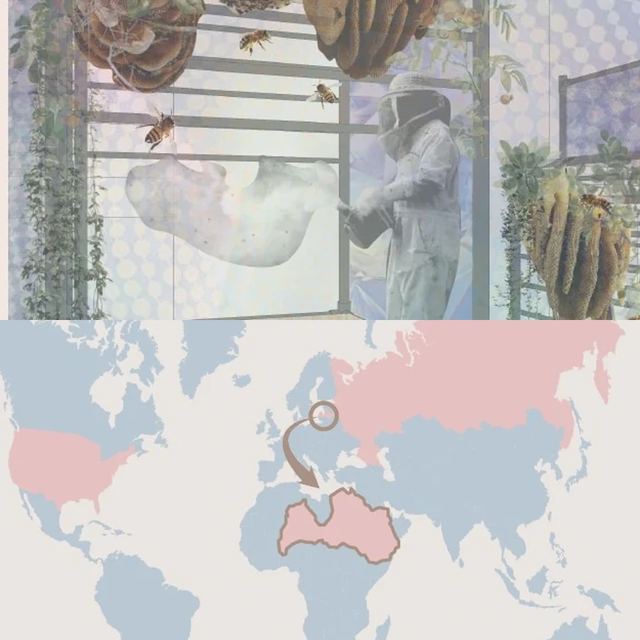 Collage from Evija Johnston's portfolio about page